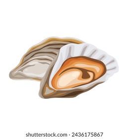 Oysters isolated on black background. Trendy healthy food. Oysters. Print. Banner, label, poster, sticker, logo, vector illustration.