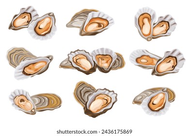 Oysters isolated on black background. Trendy healthy food. Oysters. Print. Banner, label, poster, sticker, logo, vector illustration.