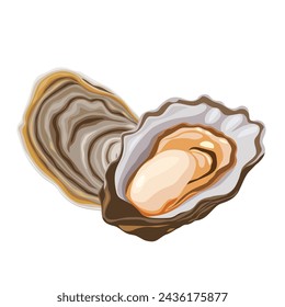 Oysters isolated on black background. Trendy healthy food. Oysters. Print. Banner, label, poster, sticker, logo, vector illustration.