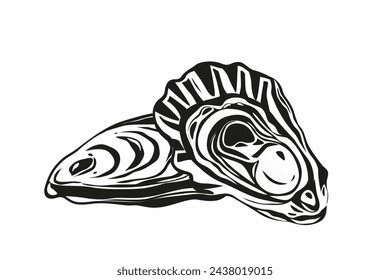 Oysters isolated on black background.
