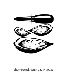 oysters with knife. vector illustration of oysters