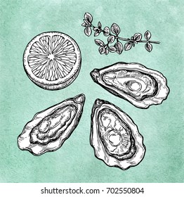 Oysters with lemon and thyme. Ink sketch on old paper background. Hand drawn vector illustration. Retro style.