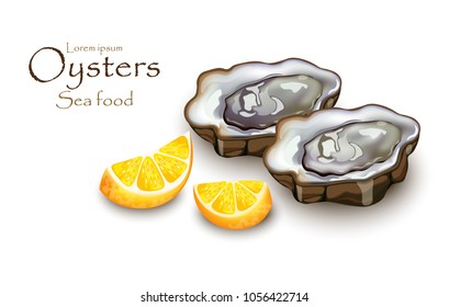 Oysters and lemon Vector realistic detailed 3d illustrations