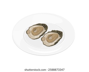 Oysters on a white background.