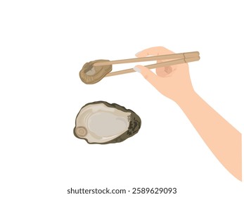 Oysters on a white background.