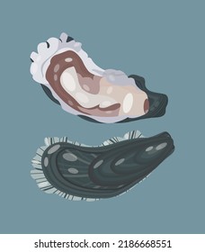 Oysters opened and closed isolated on blue background. Healthy seafood. Vitamins, nutrients, enzymes, healthy fats. Mediterranean diet. Aphrodisiac. Logo, restaurant menu, sale, promotion. shell