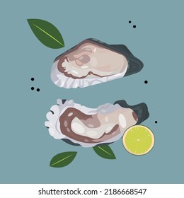 Oysters opened with spices and half a lemon isolated on a blue background. Healthy seafood. Vitamins, nutrients, enzymes, healthy fats. Mediterranean diet. Aphrodisiac. Logo, restaurant menu, sale