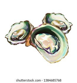 Oysters. Oyster shell vector set, hand drawn fresh oysters isolated on white background for cooked delicacies or delicacy food decor