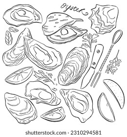 Oysters. Oyster shell vector set, hand drawn fresh oysters with lemon isolated on white background for cooking delicacies or delicacy food decor