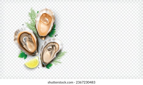 Oysters realistic composition with top view of seafood shells with lemon and greens on transparent background vector illustration