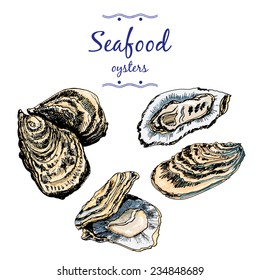 Oysters.  Restaurant and gourmet seafood in one collection of graphic hand drawn sketch elements.