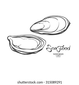 Oysters, Sea Food, Illustration, For Menu,  Isolated On A White Background