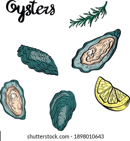 Oysters sea food, line art, hand drawn vector  pattern isolated on white background. Concept for wallpaper, menu, cards, print, icon, logo