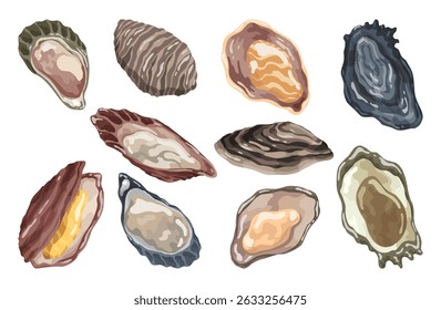 Ostras. Concha do mar, conjunto de ícones de desenho animado. Molusco aquático exótico da concha subaquática do oceano. Conchas de praia tropicais. Ilustração de desenho animado vetorial