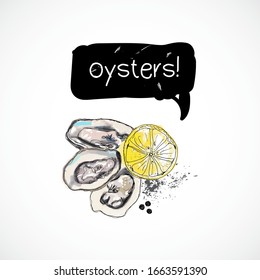 Oysters seafood taste for packing or menu watercolor spray seafood poster on white background