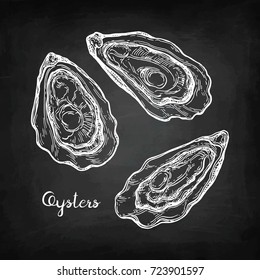 Oysters set. Chalk sketch on blackboard background. Hand drawn vector illustration. Retro style.