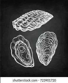 Oysters set. Chalk sketch on blackboard background. Hand drawn vector illustration. Retro style.