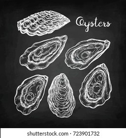 Oysters set. Chalk sketch on blackboard background. Hand drawn vector illustration. Retro style.