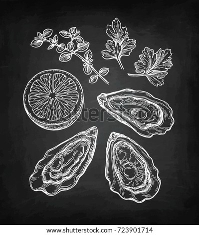 Oysters set. Chalk sketch on blackboard background. Hand drawn vector illustration. Retro style.