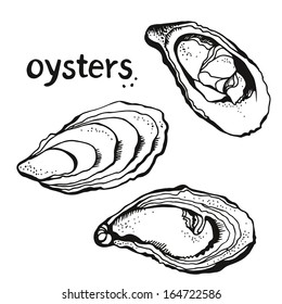 Oysters set isolated on a white background