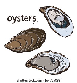 Oysters set isolated on a white background