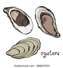 Oysters set, vector illustration isolated on white background