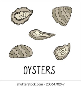 Oysters in a shell doodle illustration isolated on a white background. Delicious seafood. Perfect for menu decoration