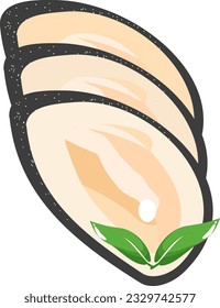 oysters shellfish vector illustration drawings