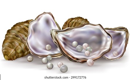 oysters shells with pearls on a white background