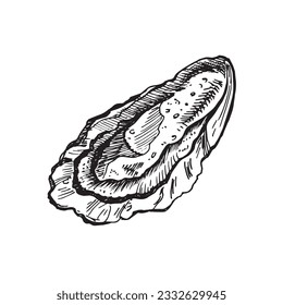 Oysters sketch hand drawn vector with engraving style illustration of logo or emblem for design seafood menu, lunch, packaging. Classic o appetizer of American steakhouse or French bistro