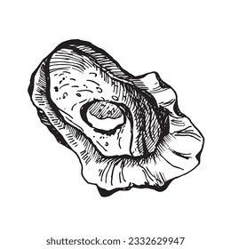 Oysters sketch hand drawn vector with engraving style illustration of logo or emblem for design seafood menu, lunch, packaging. Classic o appetizer of American steakhouse or French bistro