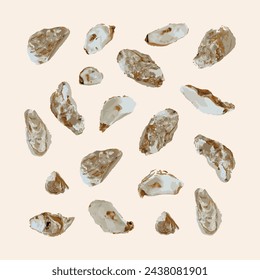 Oysters. Various forms of shellfish. Vector illustration.