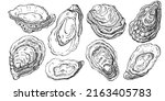 Oysters vector with engraving style illustration of logo or emblem for design seafood menu, lunch. Classic American steakhouse or French bistro appetizer.