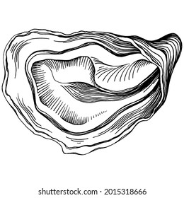 Oysters vector with engraving style illustration of logo or emblem for design seafood menu, lunch. Classic American steakhouse or French bistro appetizer.