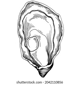 Oysters vector with engraving style illustration of logo or emblem for design seafood menu, lunch. Classic American steakhouse or French bistro appetizer.