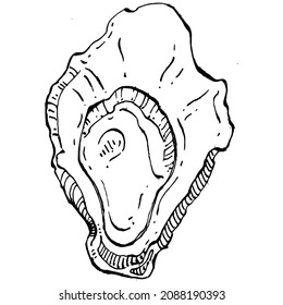Oysters vector with engraving style illustration of logo or emblem for design seafood menu, lunch. Classic American steakhouse or French bistro appetizer.