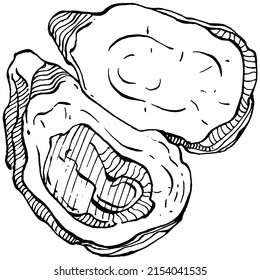 Oysters vector with engraving style illustration of logo or emblem for design seafood menu, lunch. Classic American steakhouse or French bistro appetizer.