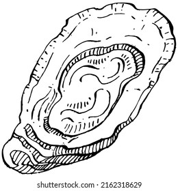 Oysters vector with engraving style illustration of logo or emblem for design seafood menu, lunch. Classic American steakhouse or French bistro appetizer.