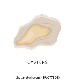 Oysters. Vector fresh oyster shell isolated on white background. Cooked delicacies, Mediterranean delicacy seafood. Shellfish in flat cartoon style. 