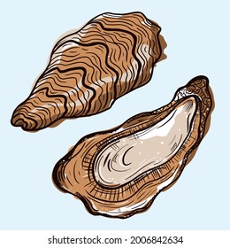 Oysters Vector Icon. Isolated Illustration Of An Open And Closed Oyster. A Seafood Delicacy. Colored Sketch Of Food. Fresh Sea Clam In The Shell. Hand-drawn Marine Animal.