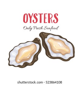 Oysters vector illustration in cartoon style. Seafood product design/