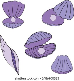 oyter shell with pearls vector set.