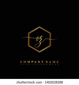 OZ Initial luxury handwriting logo vector