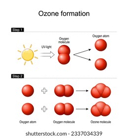 Ozone formation in Earth's atmosphere. Solar ultraviolet radiation breaks apart an oxygen molecule O2 to form two separate atoms. combination each atom with molecule oxygen to generate ozone molecule