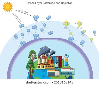 O ozônio se forma quando os raios UV dividem as moléculas de oxigênio, mas poluentes como os CFCs quebram o ozônio, causando depleção e afinamento da camada de ozônio. Destruição da camada de ozônio leva a mais exposição aos raios UV