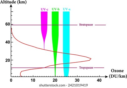 Ozone levels at different altitudes  and blocking of ultraviolet radiation in different bands.Vector illustration.