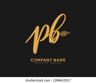 P B Initial Handwriting Logo Template Vector