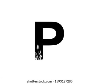 P Letter Logo With Grass or Reeds Inside.