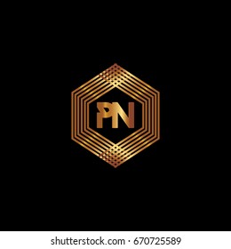 P N Logo