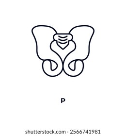 p outline icon. Linear vector from medical concept. Thin line p icon isolated on white background